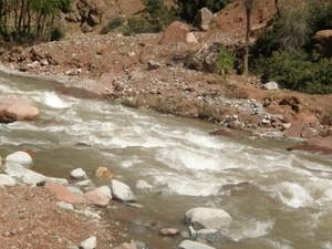 P0000889