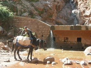 P0000899