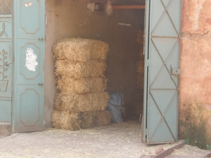P0000900