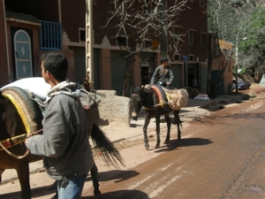 P0000901