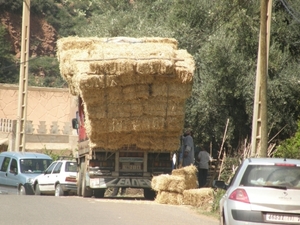 P0000921