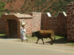 P0000927