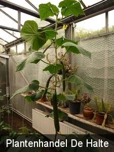 P1000262