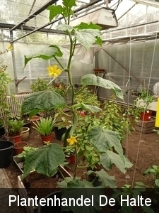 P1000263