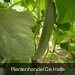 P1000390
