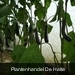 P1000413