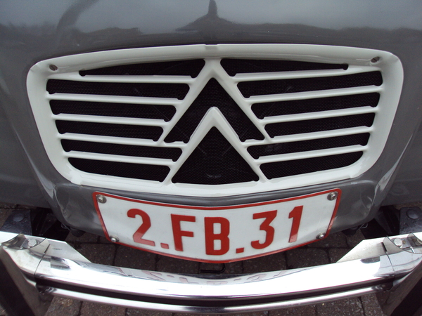 Nieuwe grille 002