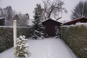 kerstmis 2009 sabine 017