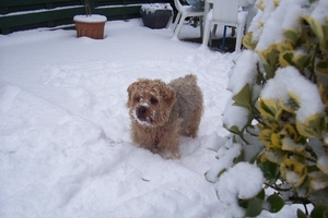 kerstmis 2009 sabine 025