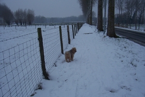 kerstmis 2009 sabine 031