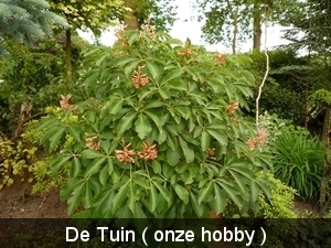 P1000238