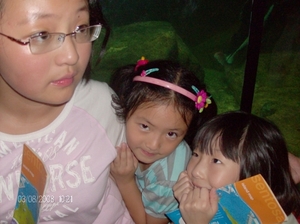 File0210