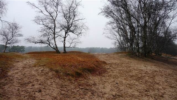20100124_4