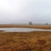 20100124_20