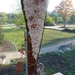 Decoratie