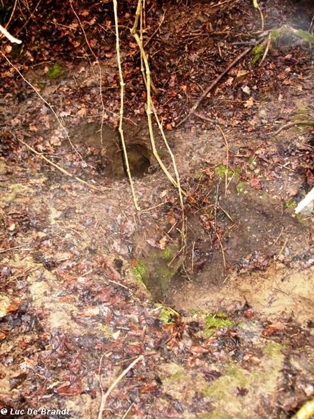 Ardennen Adeps wandeling Anhe