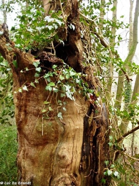 Ardennen Adeps wandeling Anhe