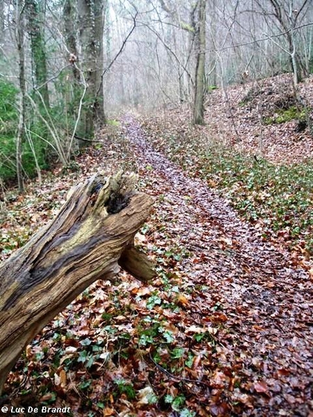 Ardennen Adeps wandeling Anhe