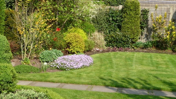 tuin 2009 002