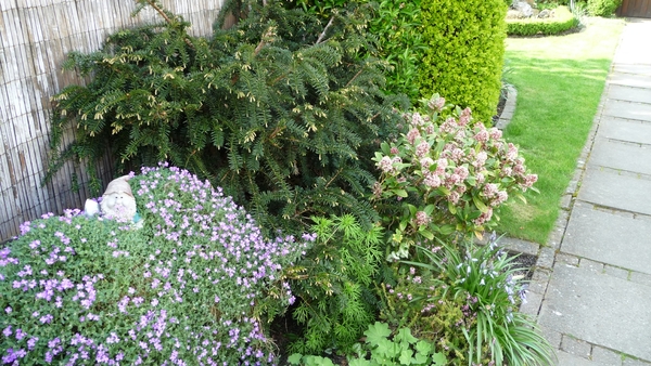 tuin 2009 003