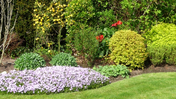 tuin 2009 006