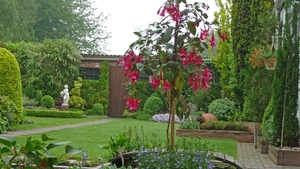 tuin 2009 012