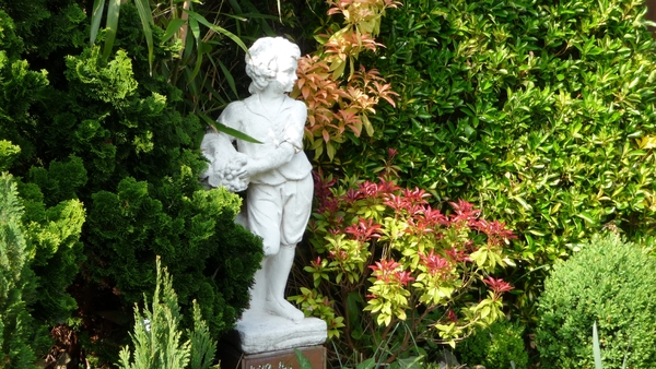 tuin 2009 008