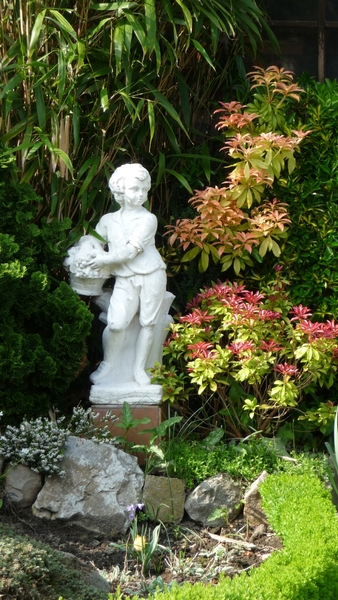 tuin 2009 010