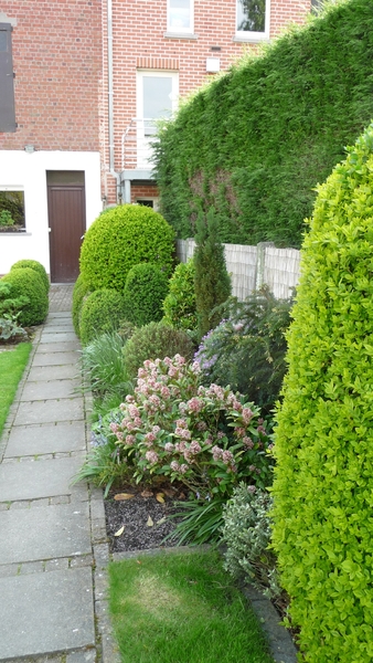 tuin 2009 011