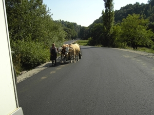 Afbeelding ries roemenie 054
