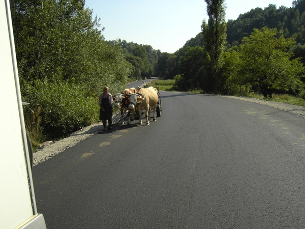 Afbeelding ries roemenie 054