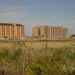 orepesa (4)