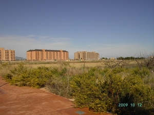 orepesa (5)