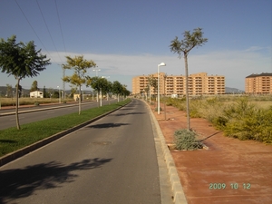 orepesa (6)