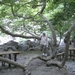 kreta 2009 (22)