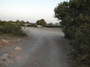 kreta 2009 (31)