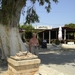 kreta 2009 (50)