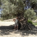kreta 2009 (70)