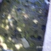 kreta 2009 met maurice 002