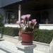kreta 2009 met maurice 003