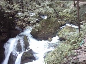 reis naar de vogezen en de jura watervallen 016