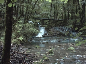 reis naar de vogezen en de jura watervallen 017