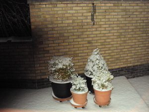 winterprikken 004