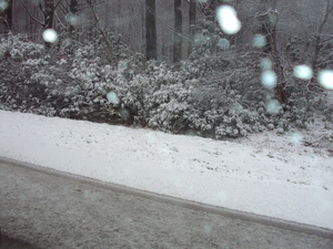winterprikken 008