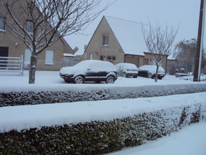 winterprikken 005