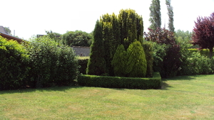 tuin 005