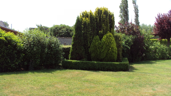 tuin 005