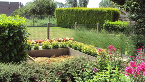 tuin 007