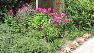 tuin 008