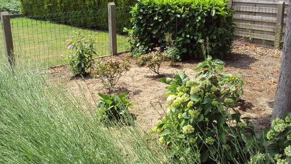 tuin 009